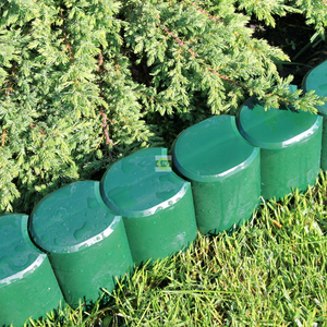 Палисад высокий зеленый