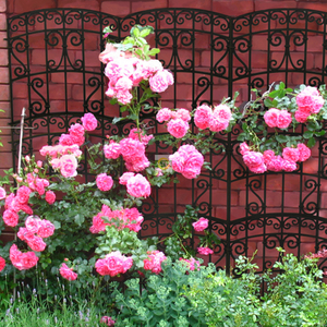 Пергола садовая 40443